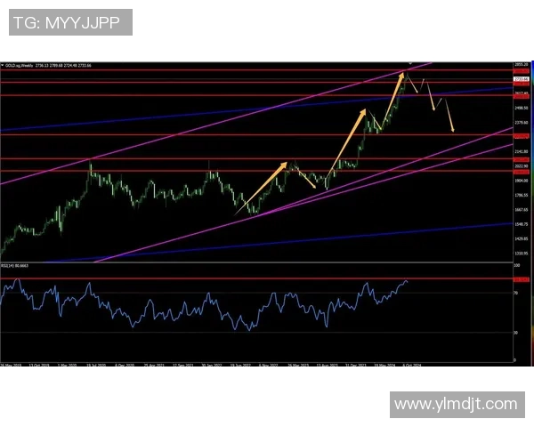 达尔库尔德人对阵佐加顿斯的比赛分析与未来走势预测