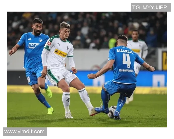 霍芬海姆与帕德博恩2019年11月精彩对决回顾与分析